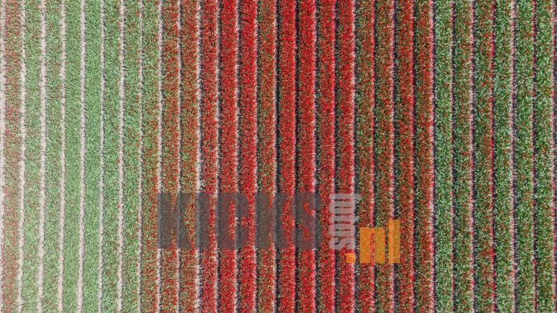 DJI_0649
