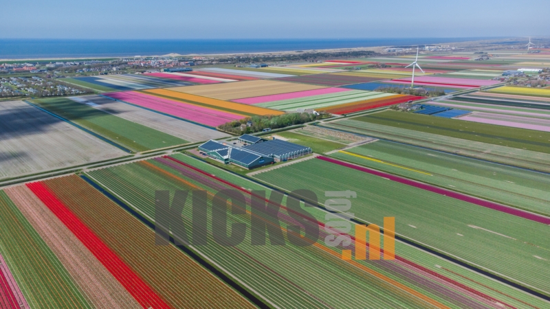 DJI_0651