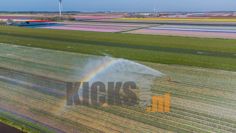 DJI_0657
