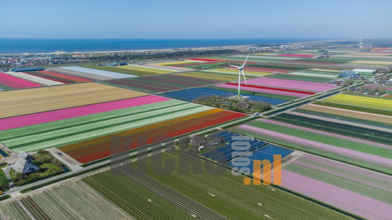 DJI_0661