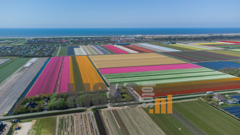 DJI_0662