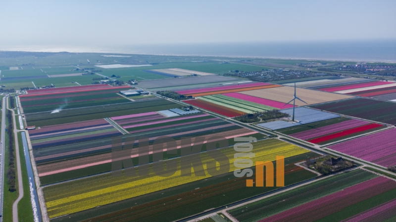 DJI_0672