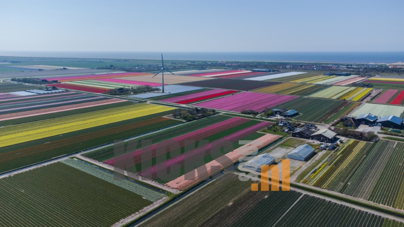 DJI_0673