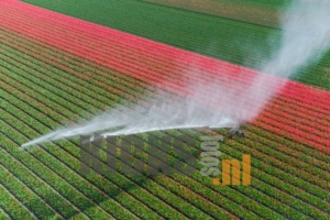 DJI_0676