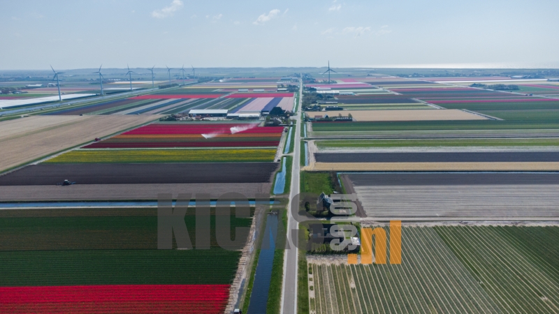 DJI_0703