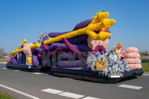 AA8I8680