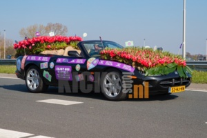 AA8I8684