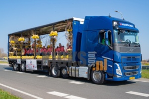 AA8I8712